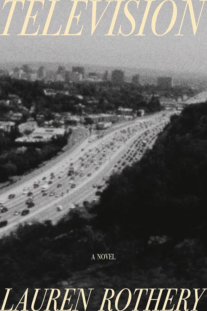 Television: A Novel cover image