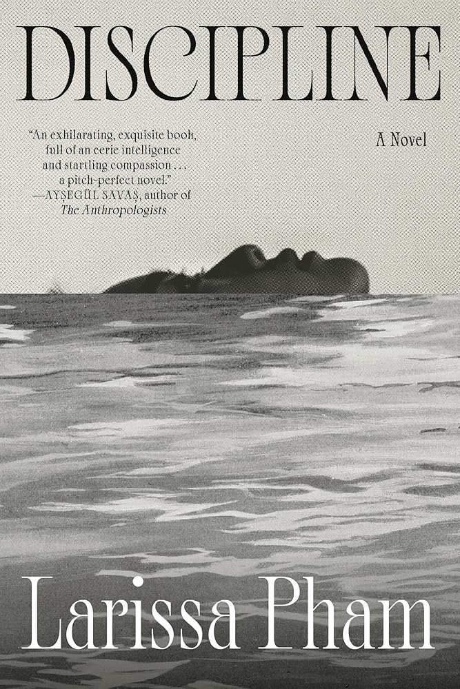 Discipline: A Novel cover image