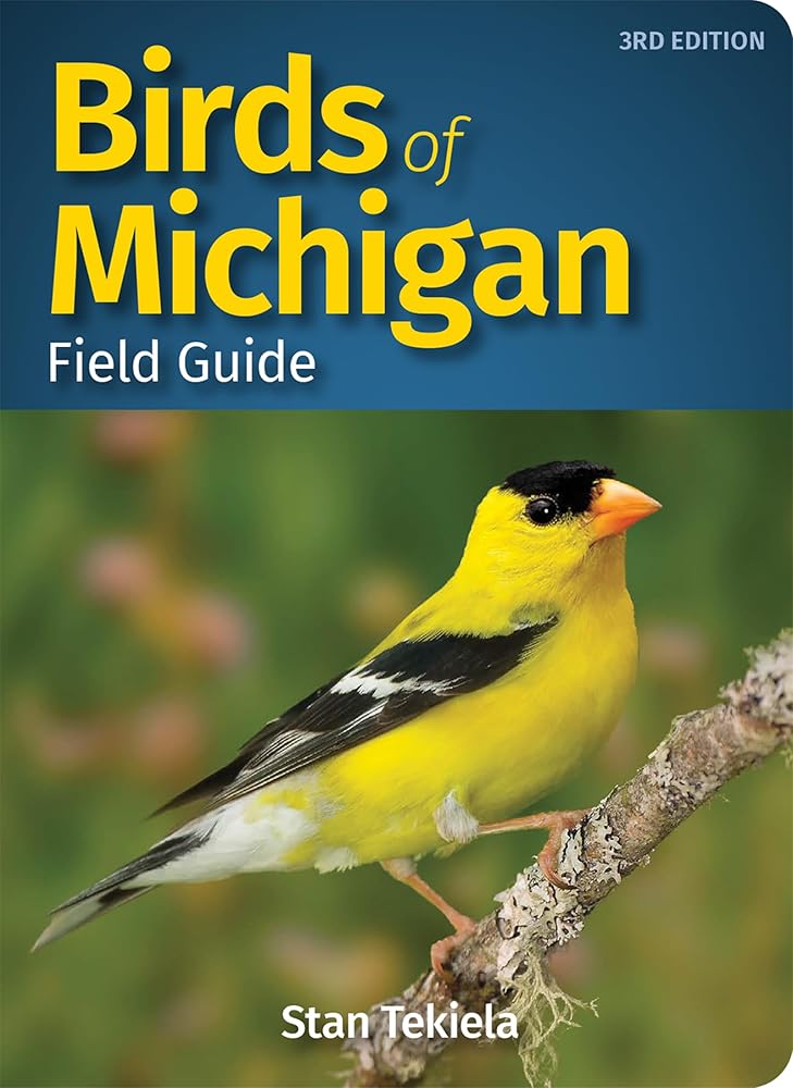 Birds of Michigan Field Guide (Bird Identification Guides) cover image
