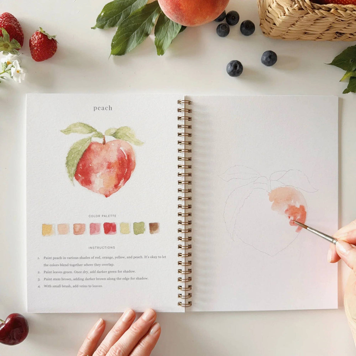 Watercolor Workbook - Fruit