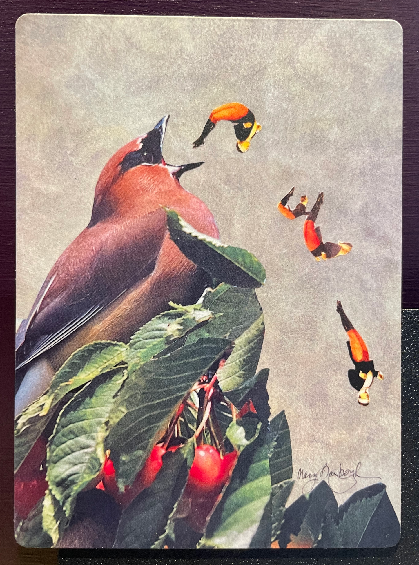 Magnet - Not My Taste