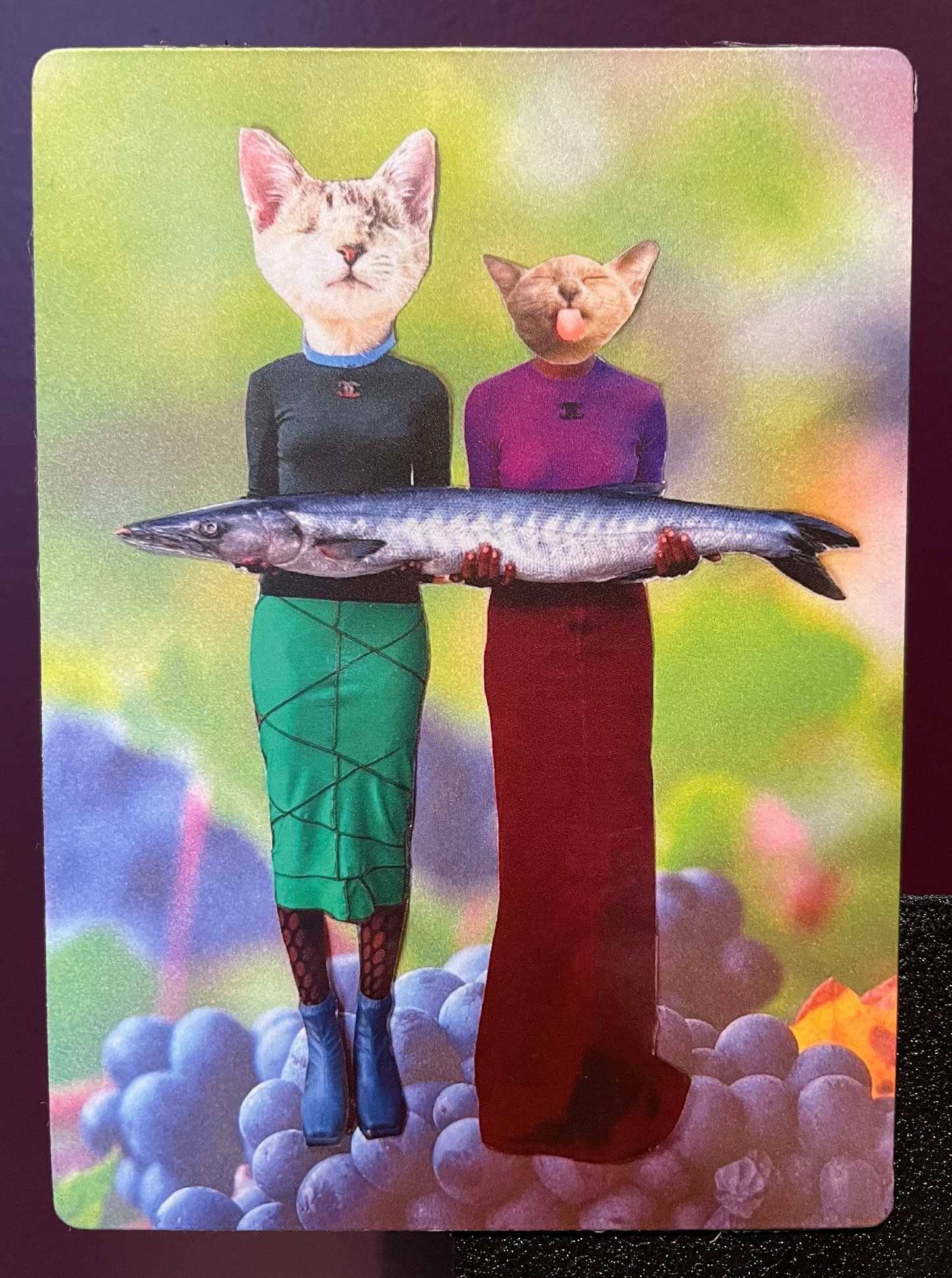 Magnet - Something's Fishy