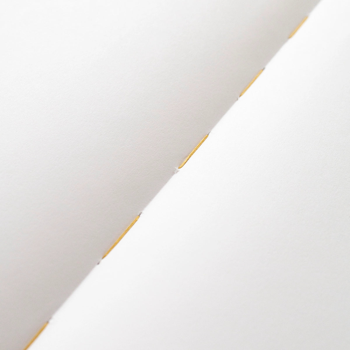 Notebook - Wild Flowers (Blank)