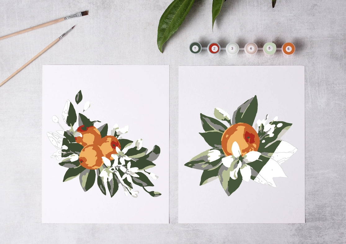 Paint-By-Numbers Kit: Orange Blossoms