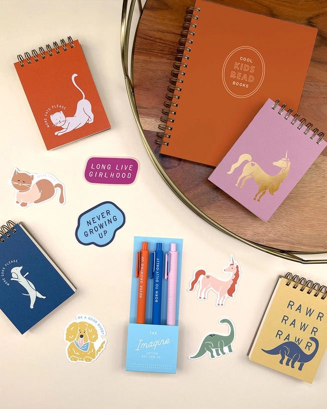 Pen Set - Imagine Jotter Gel Pens