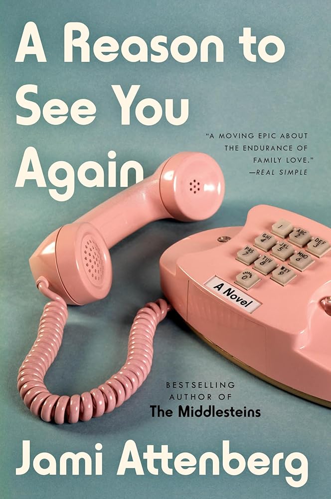 A Reason to See You Again: A Novel cover image
