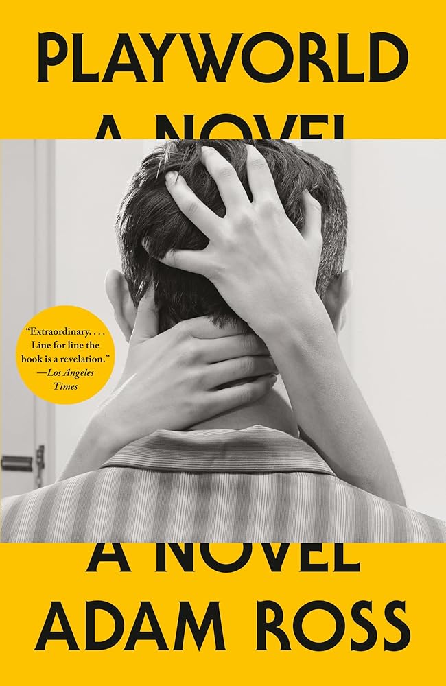 Playworld: A Novel (Vintage Contemporaries) cover image