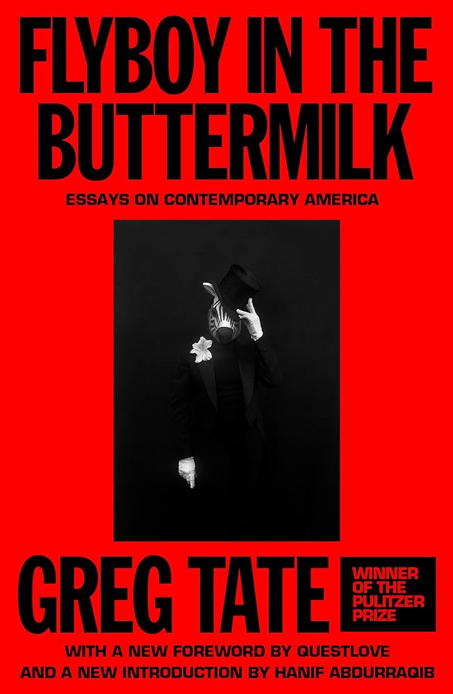 Flyboy in the Buttermilk: Essays on Contemporary America cover image