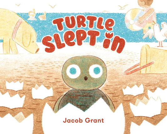 Turtle Slept In cover image