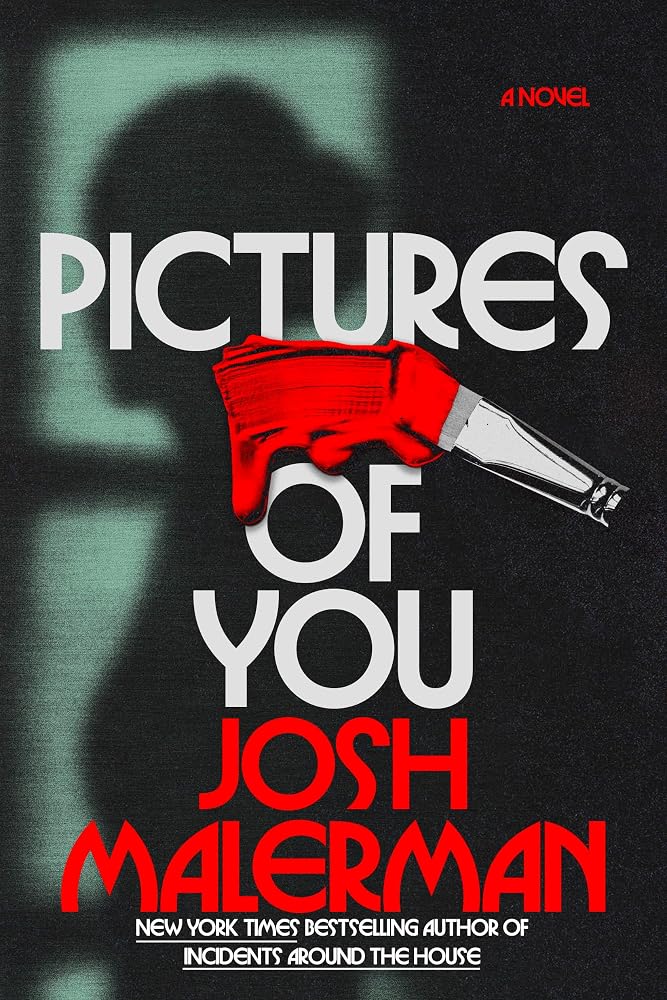 Pictures of You: A Novel cover image