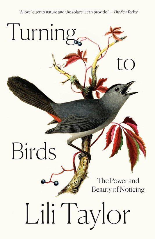 Turning to Birds: The Power and Beauty of Noticing cover image