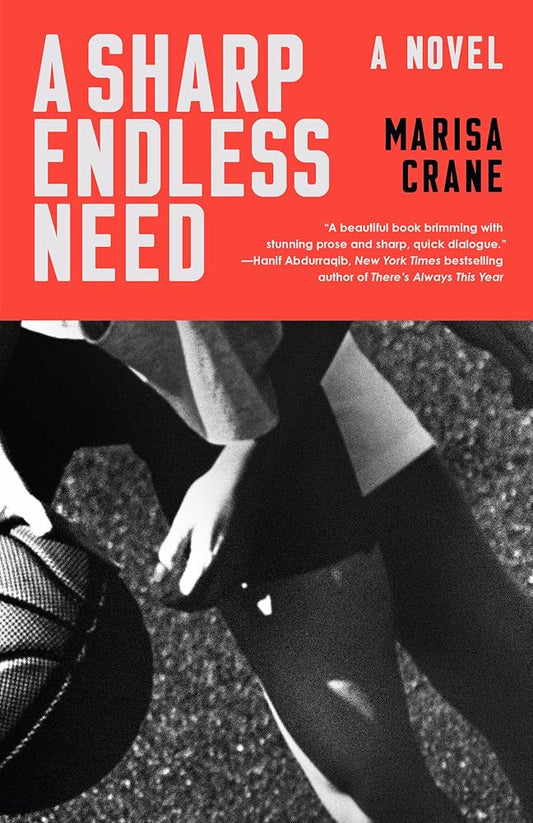 A Sharp Endless Need: A Novel cover image