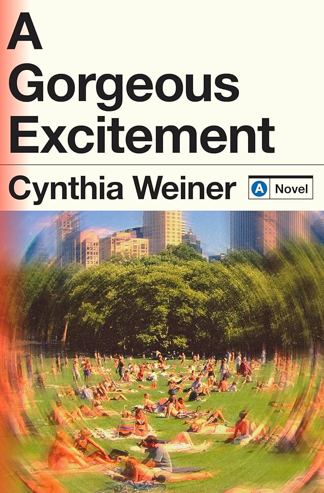 A Gorgeous Excitement: A Novel cover image