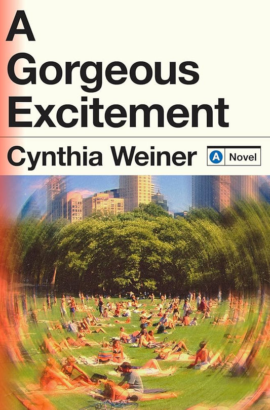 A Gorgeous Excitement: A Novel cover image