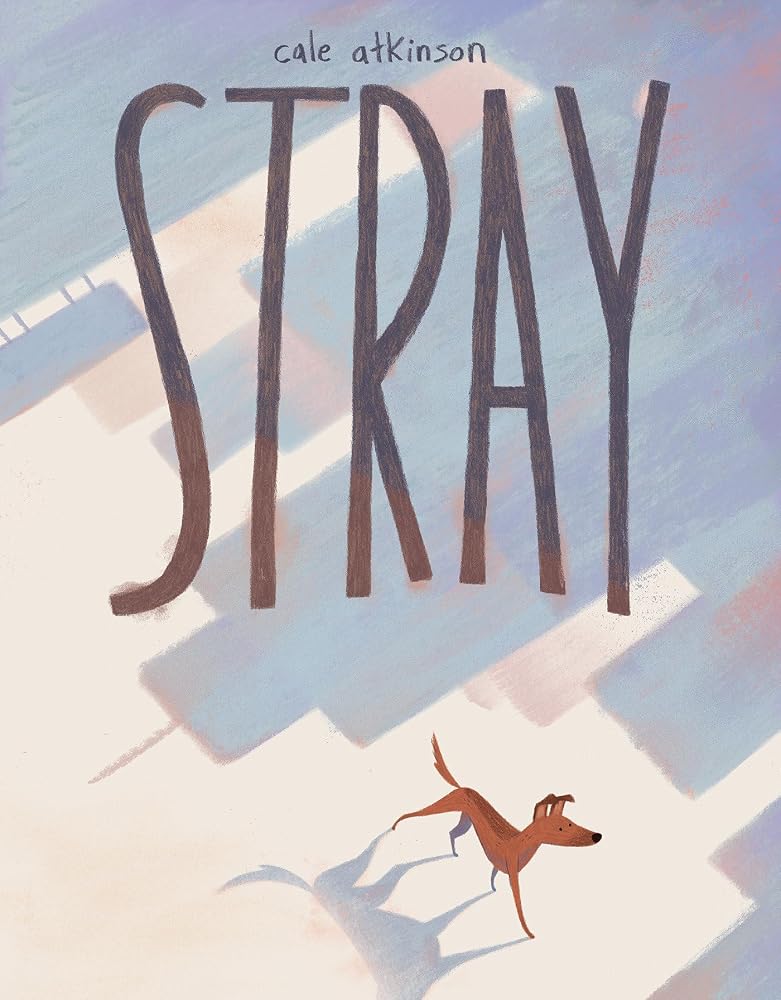 Stray cover image