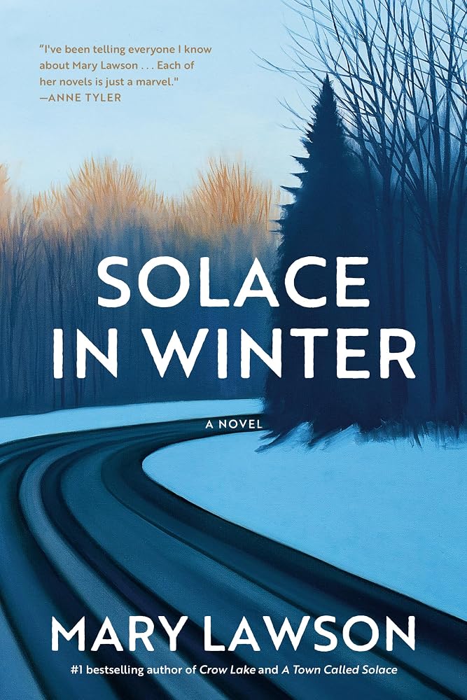 Solace in Winter: A Novel cover image