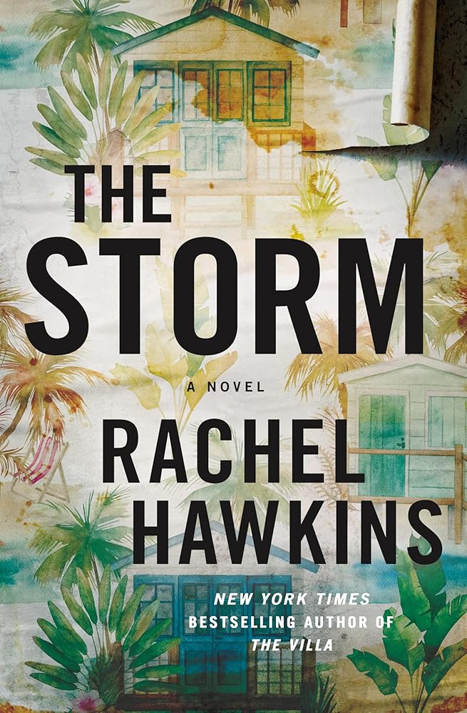 The Storm: A Novel cover image