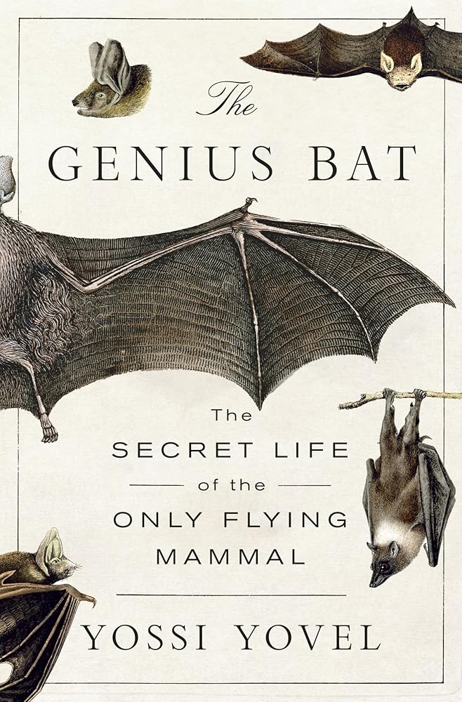 The Genius Bat: The Secret Life of the Only Flying Mammal cover image