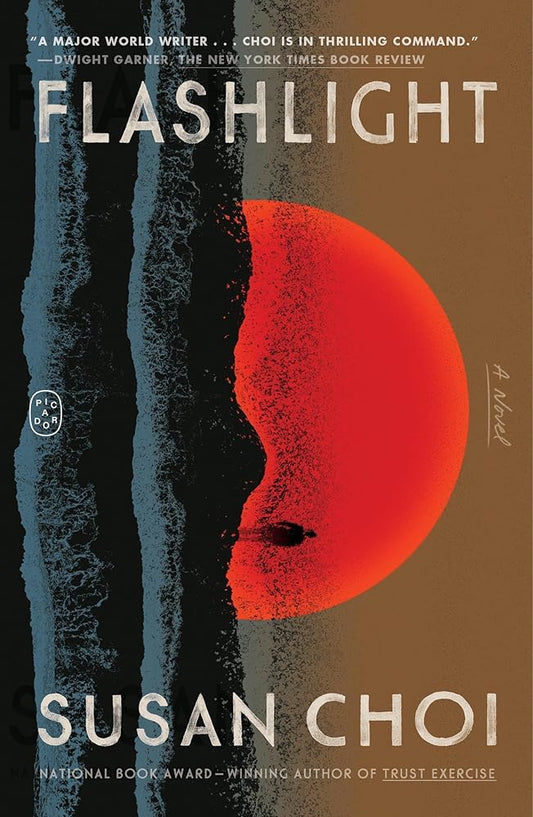 Flashlight: A Novel cover image