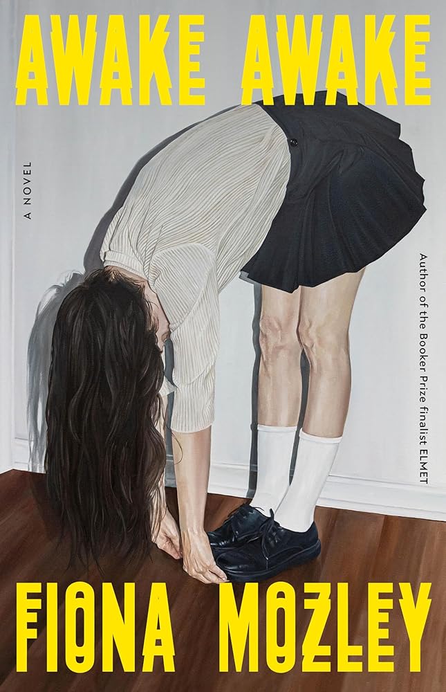 Awake Awake: A Novel cover image