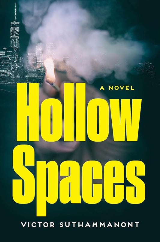 Hollow Spaces: A Novel cover image