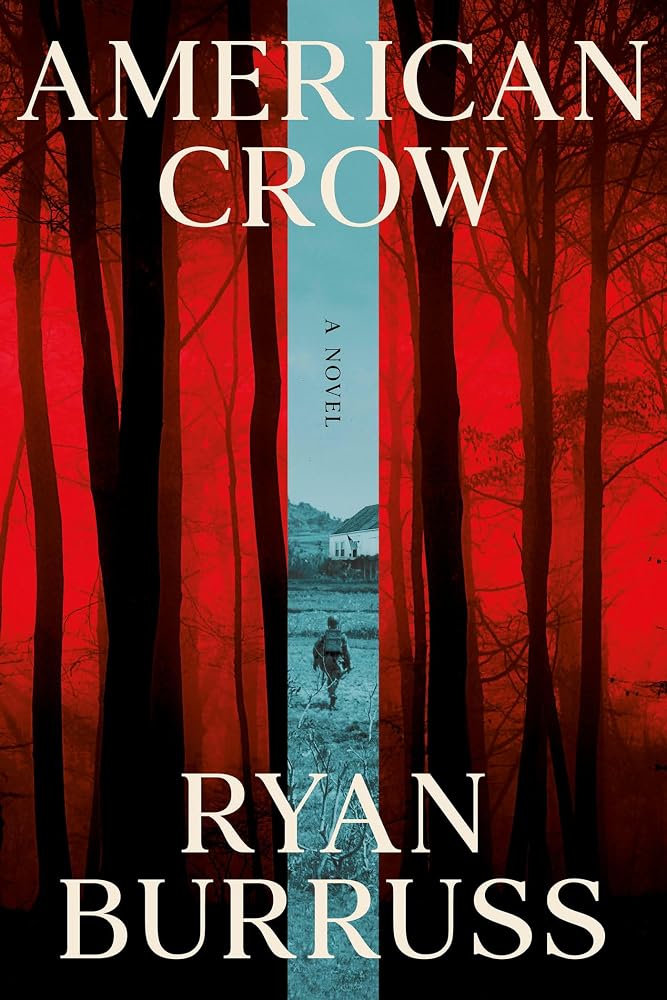 American Crow: A Novel cover image