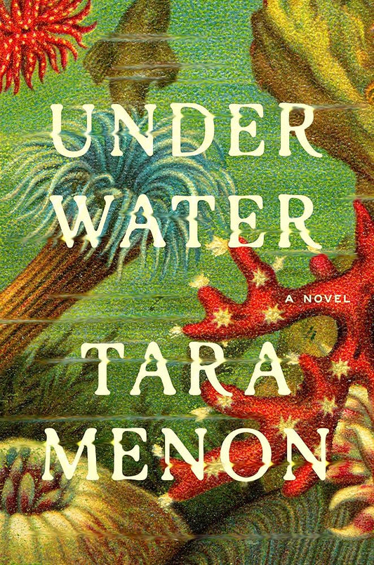 Under Water: A Novel cover image