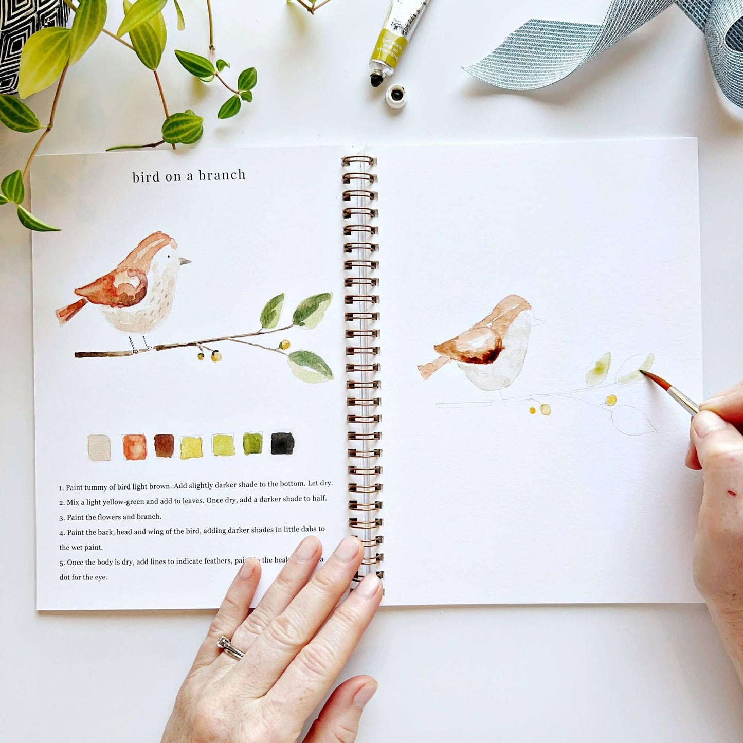 Watercolor Workbook - Animals