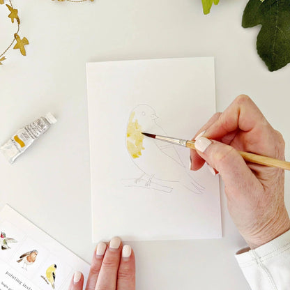 Watercolor Notecards - Birds