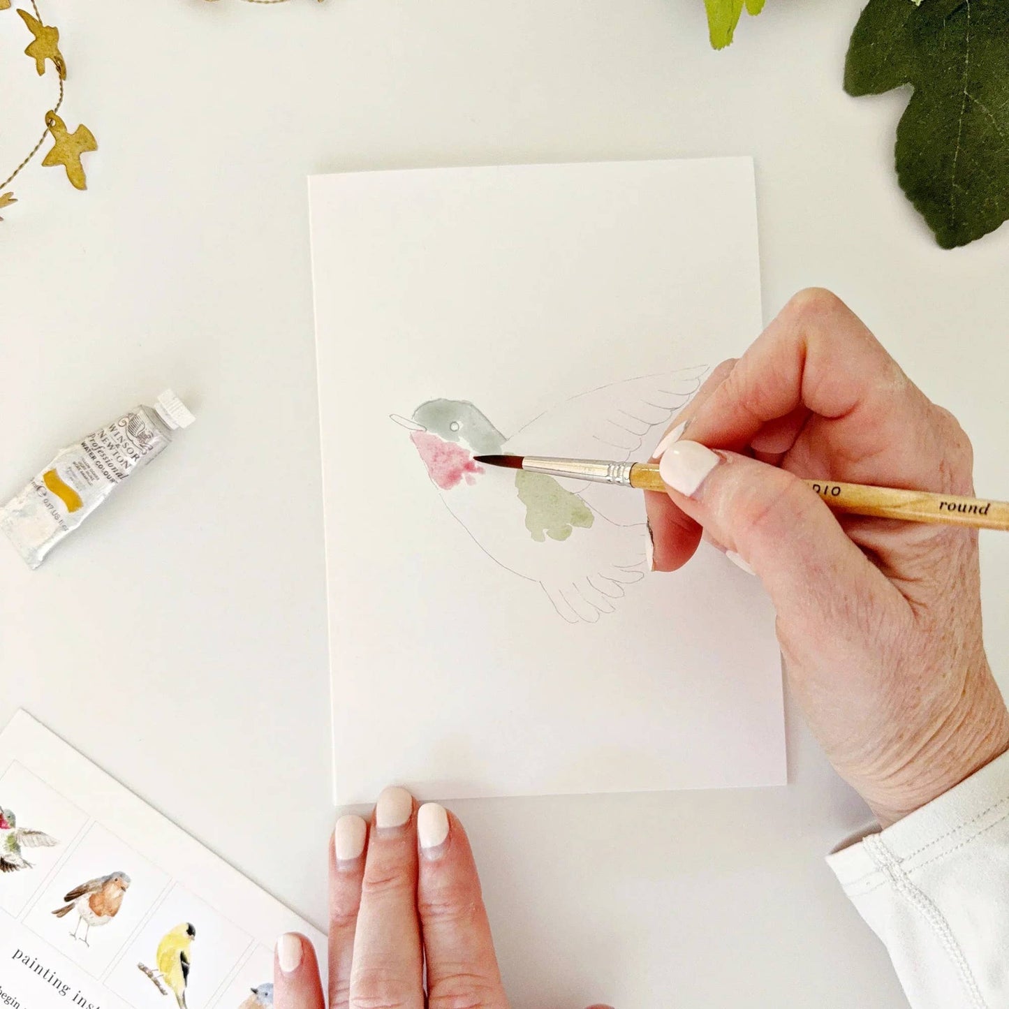 Watercolor Notecards - Birds