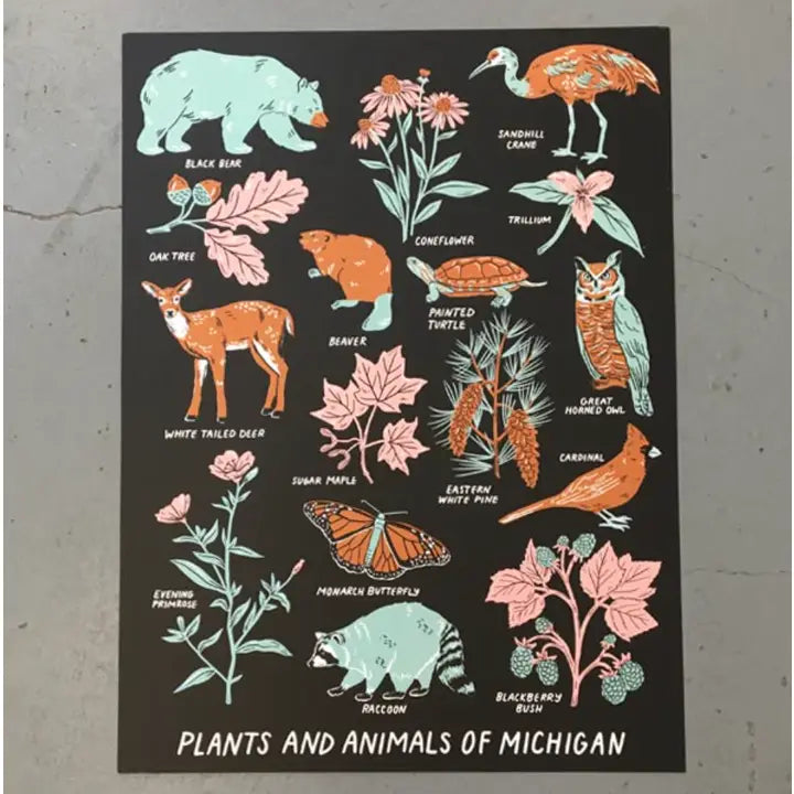 Magnet - Animals and Plants of Michigan