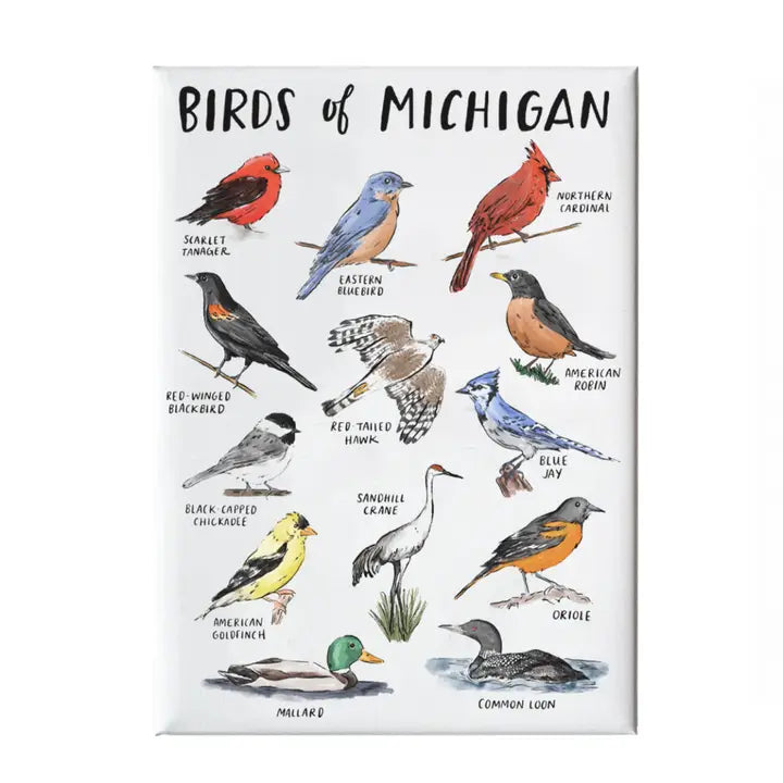 Magnet - Birds of Michigan
