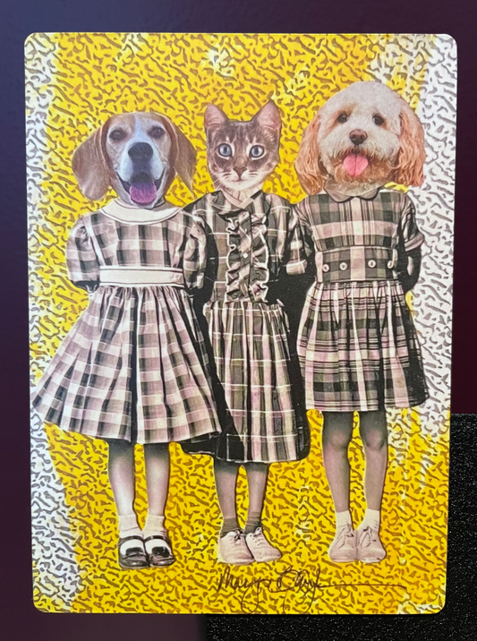Magnet - School Girls