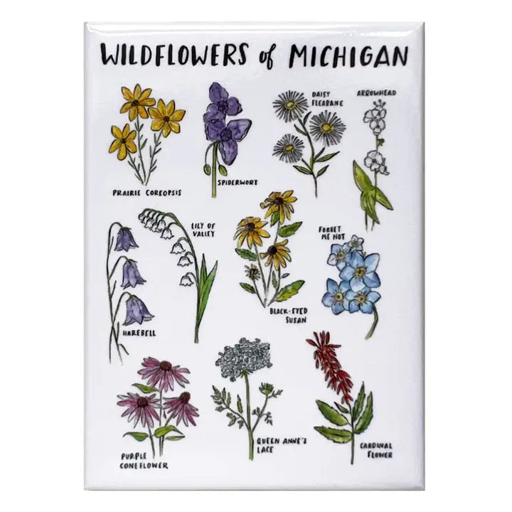 Magnet - Wildflowers of Michigan