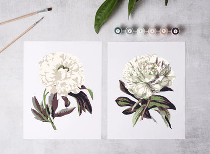 Paint-By-Numbers Kit: Peony Blossoms