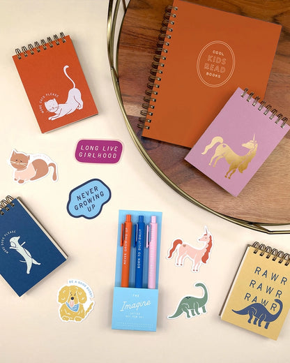 Pen Set - Imagine Jotter Gel Pens