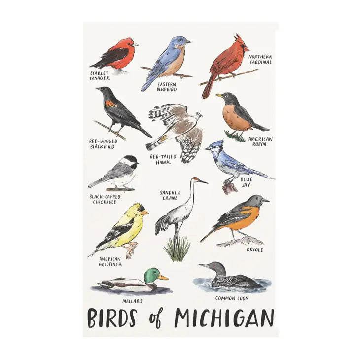 Postcard - Birds of Michigan