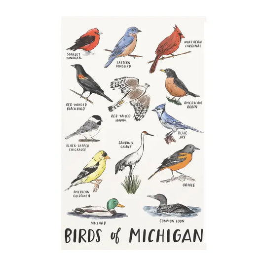 Postcard - Birds of Michigan
