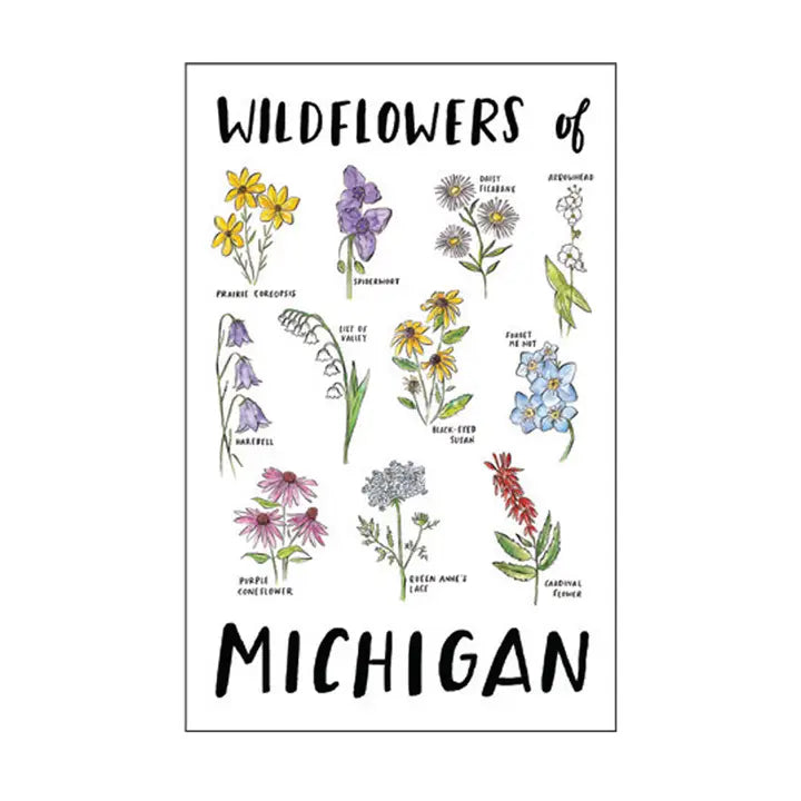 Postcard - Michigan Wildflowers